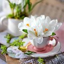 ���� ������, ����, 53 ���� - ��������� 26 ���� 2021 � ������ ������ ��������