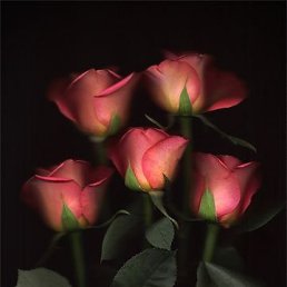 �����, ���������, 63 ����