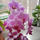 ���� �������, �������� - ��������� 24 ������ 2022 � ������ ���� ����������