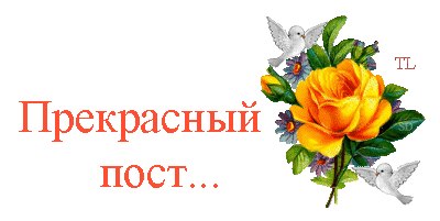   ,    . - 26  2021  18:04 - 6