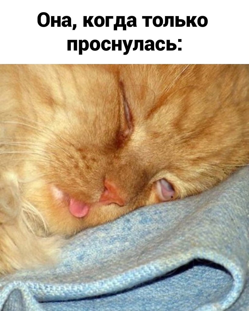    :   - 4