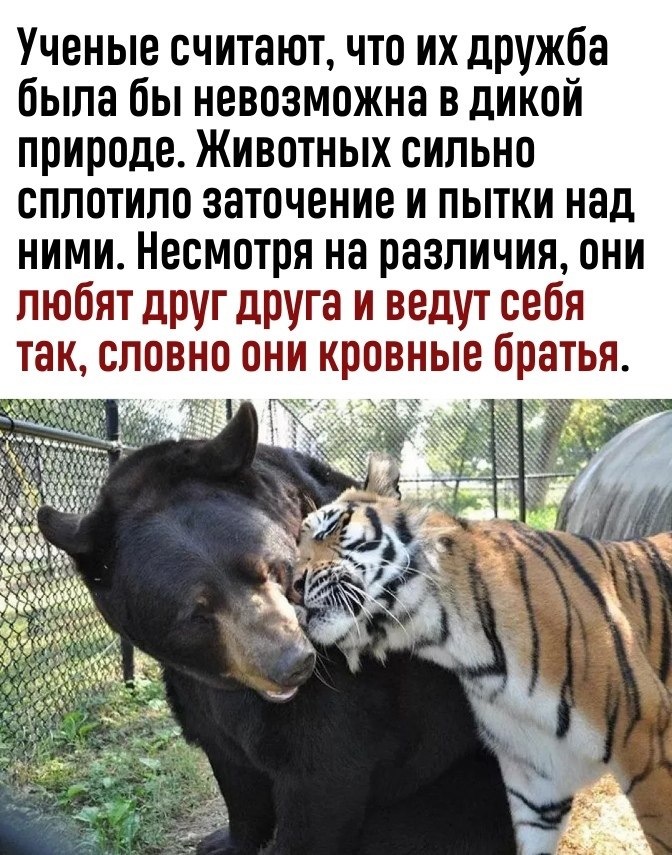     - 3