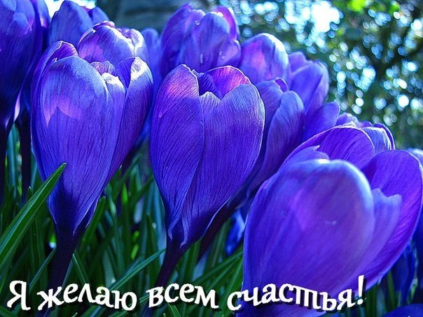    ! I wish everyone good luck! Preji vsem stesti!