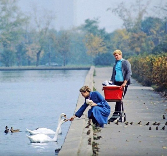   . , 1981 .