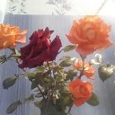 ���� �, ������, 69 ��� - ��������� 26 ������� 2021 � ������ ���� ����������