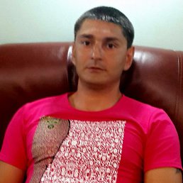 , 43,  