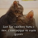 ���� ��������, �����������, 66 ��� - ��������� 23 ������ 2022 � ������ ���� ����������