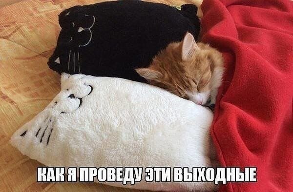    - 10  2021  00:25