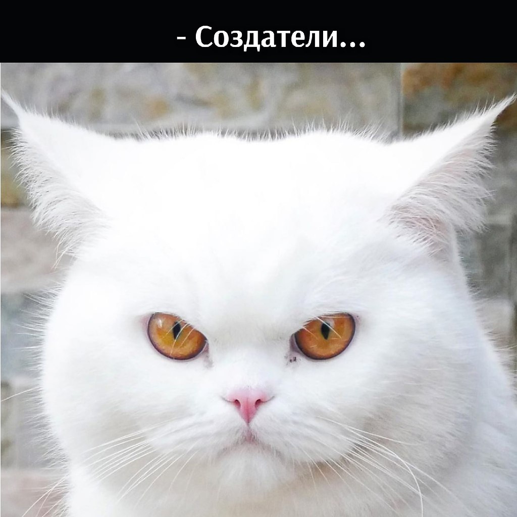       - 2  2021  22:45 - 2