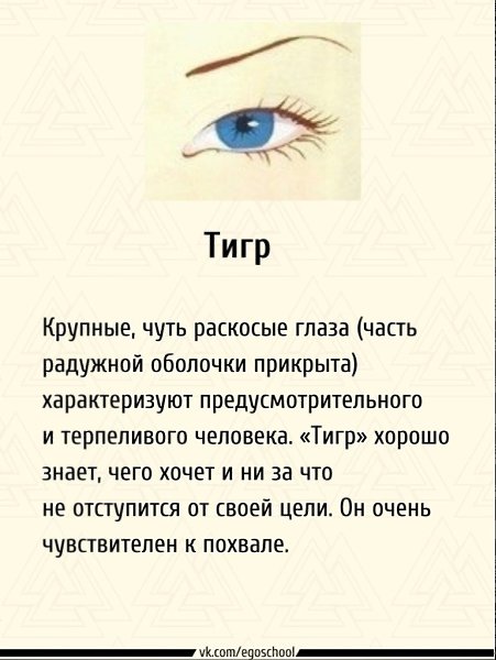 Определяем характер человека по форме глаз. Интересно, есть ли совпадения - 6