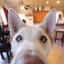 ���� �������, ���� - ��������� 24 ������ 2022