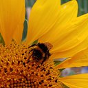 ���� ������, �������, 49 ��� - ��������� 21 ���� 2021 � ������ ���� ����������