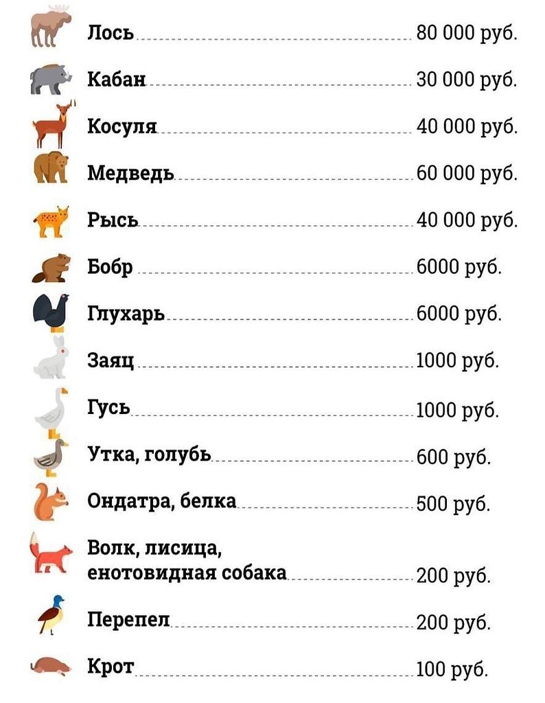 Может пригодится - Идеи для жизни, № 2410661742 Фотострана - cайт знакомств...