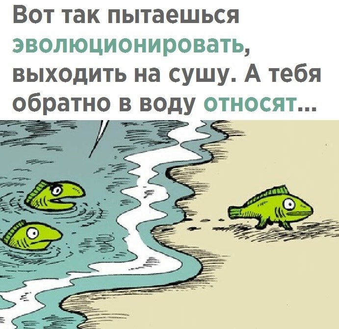    - 21  2021  16:09 - 3