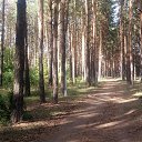 ���� Haver Santa, ���������� ����� - ��������� 28 ���� 2021 � ������ �:)�