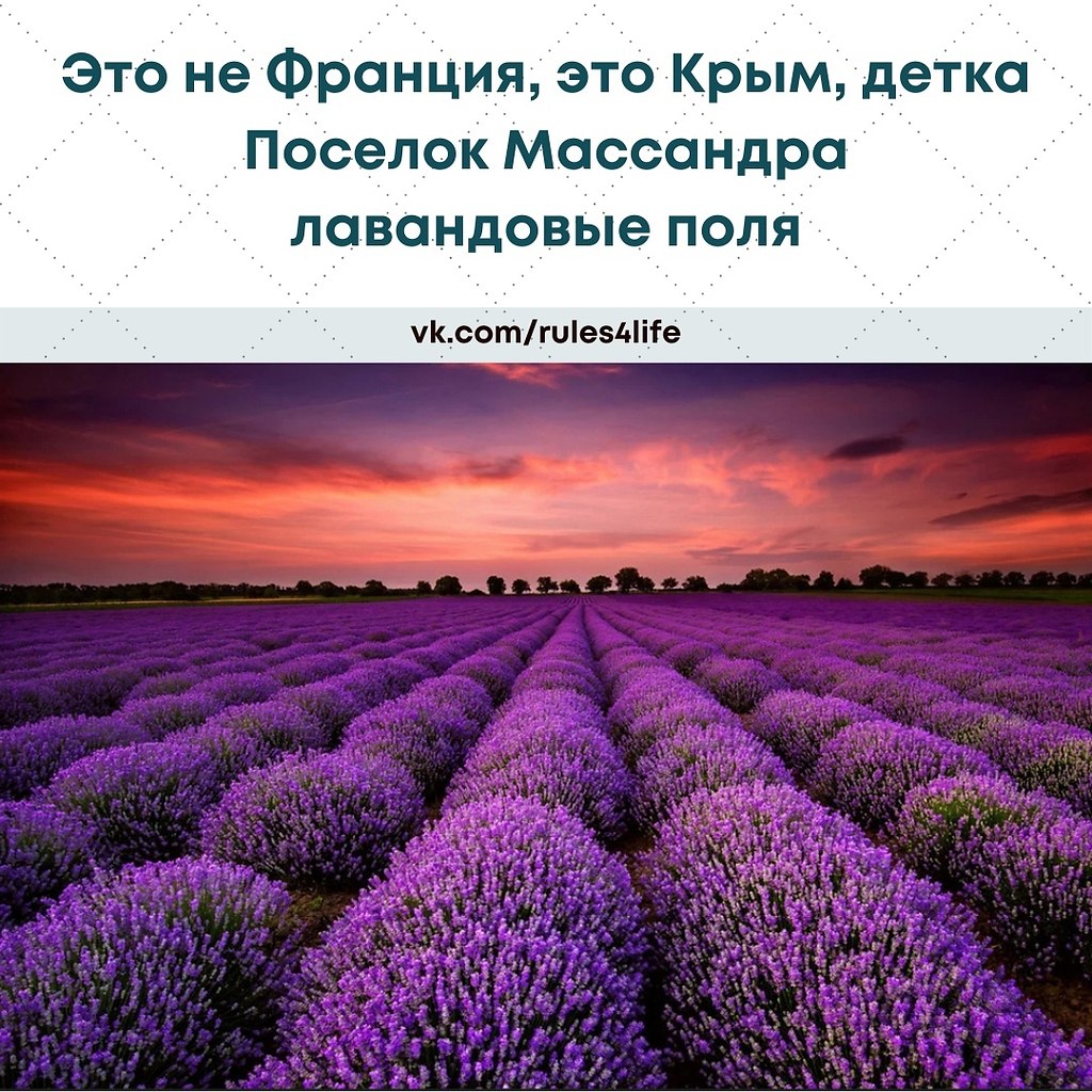 LIFE -  - 28  2021  19:39