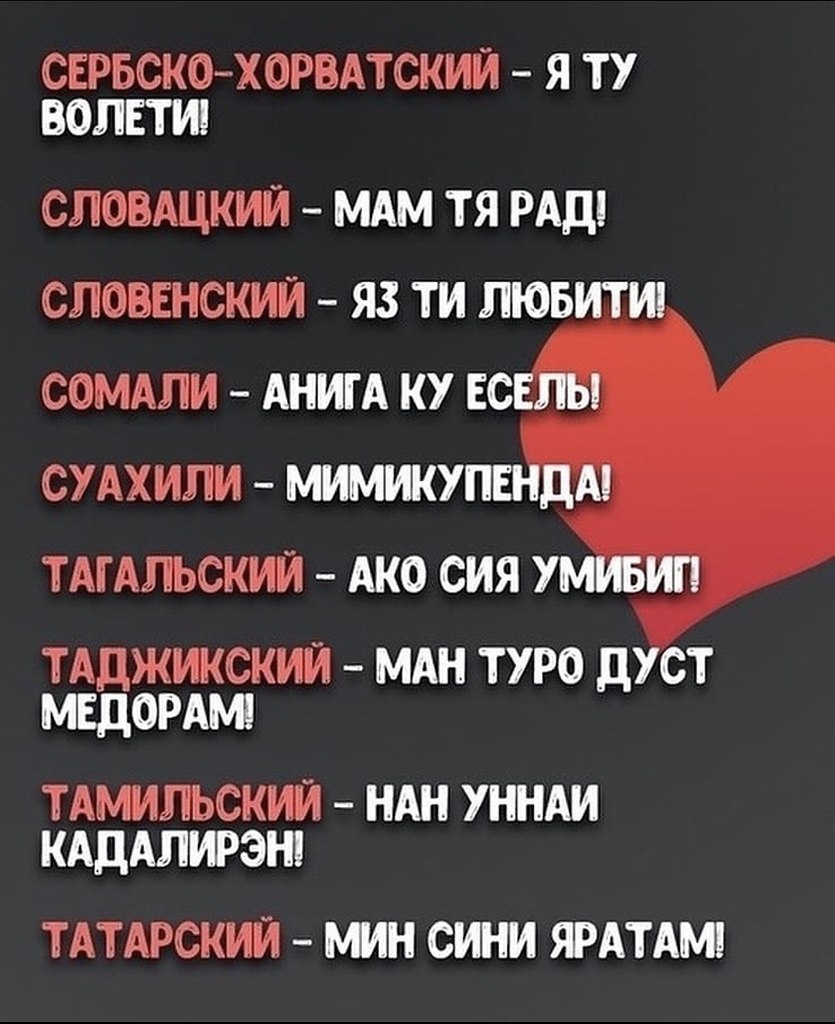  . - 8