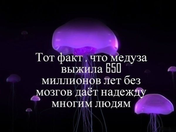 Гречка, "руки" и Аркадий Райкин.... Валерий Амиров. Вспомнился один из знаменитых ...