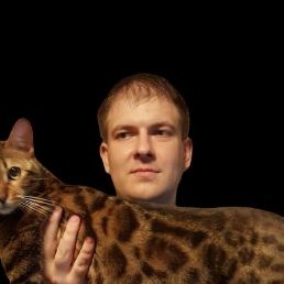 �������, ����������, 38 ���