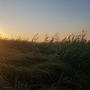 ���� ������, �����������, 52 ���� - ��������� 9 �������� 2021 � ������ ���� ����������