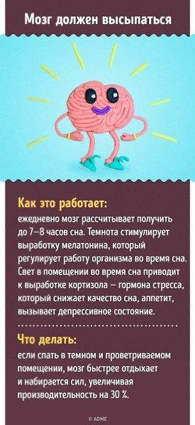 15 проверенных способов улучшить работу мозга - 8