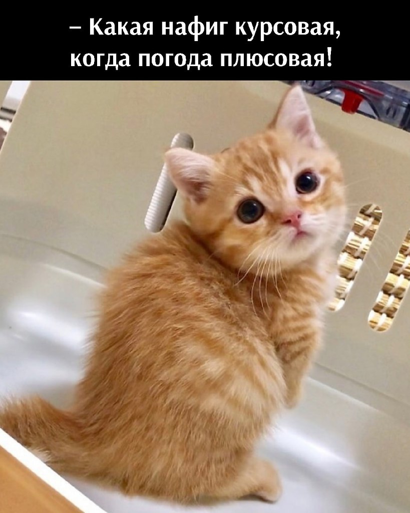       - 11  2021  19:52