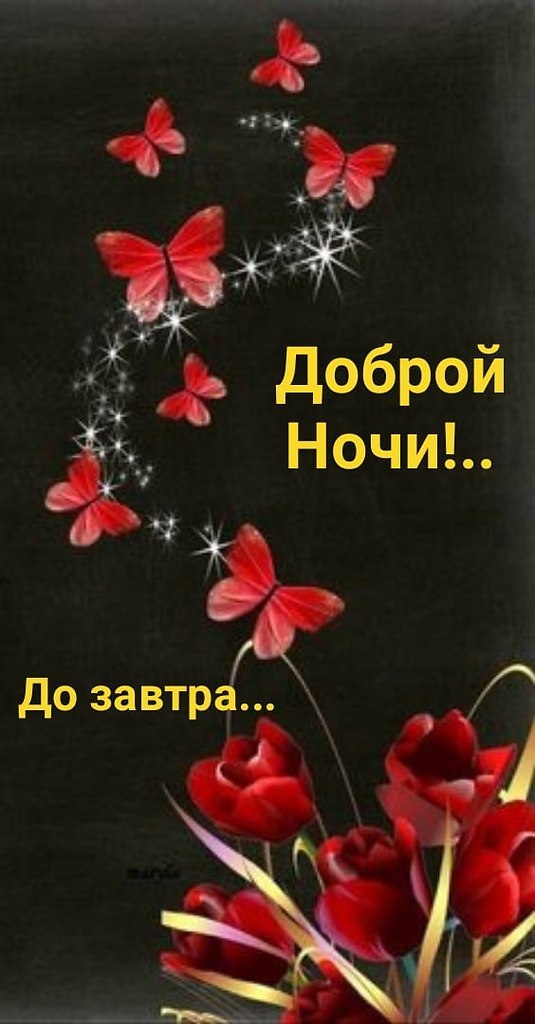   ,    . - 24  2021  22:19 - 8