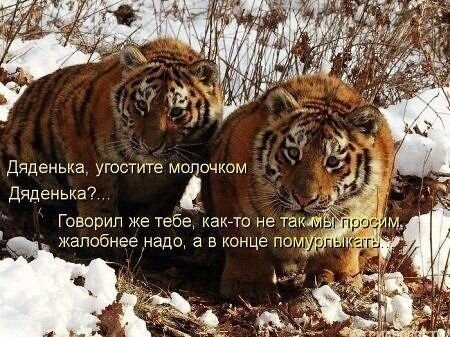    - 21  2021  02:33