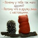 ���� ����, ������ - ��������� 19 ��� 2021 � ������ ���� ����������