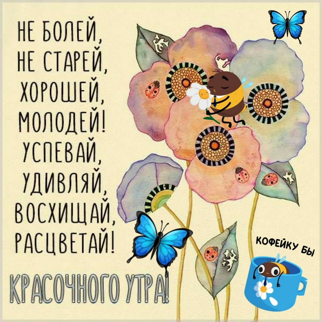 ПРИВЕТСТВИЯ и ПОЖЕЛАНИЯ, открытки на каждый день. опубликовал пост от 29  марта 2021 в 23:31 | Фотострана | Пост №2306811002