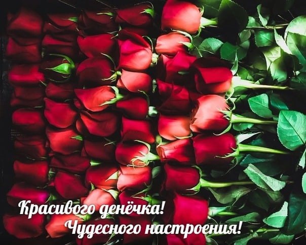   ,    . - 27  2021  07:06 - 2