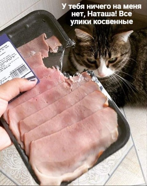 (^///^)