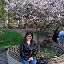 ���� ����, ������, 57 ��� - ��������� 21 ������ 2021 � ������ ���� ����������