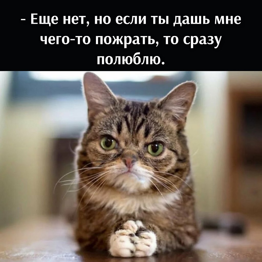       - 15  2021  13:14 - 2