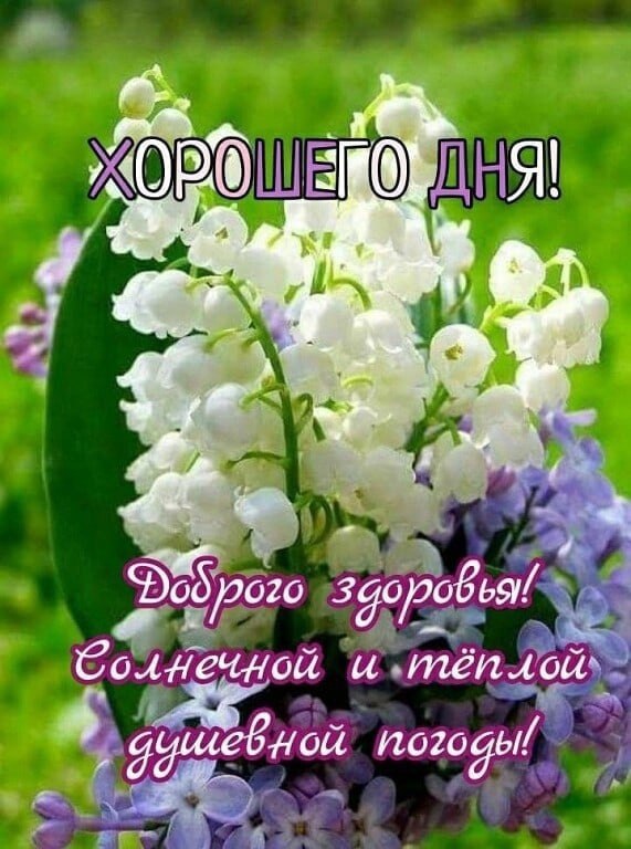   ,    . - 23  2021  11:52