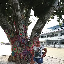 �������, ��������, 66 ���