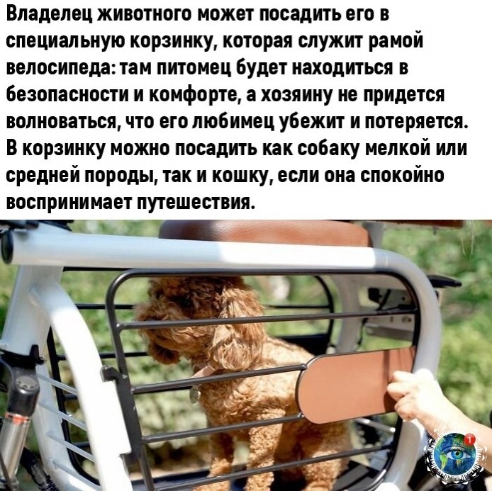   cea eceee! - 2