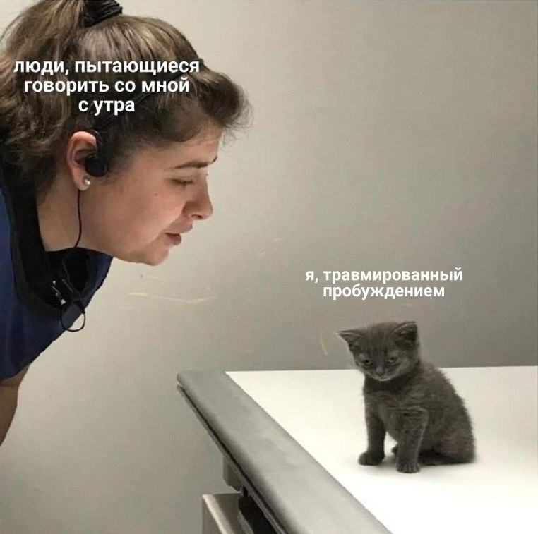  - 11  2021  12:38