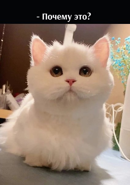       - 12  2022  10:33 - 2