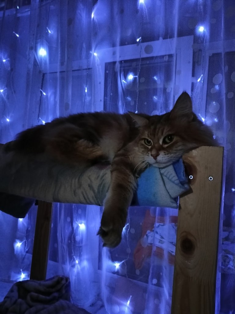      !)