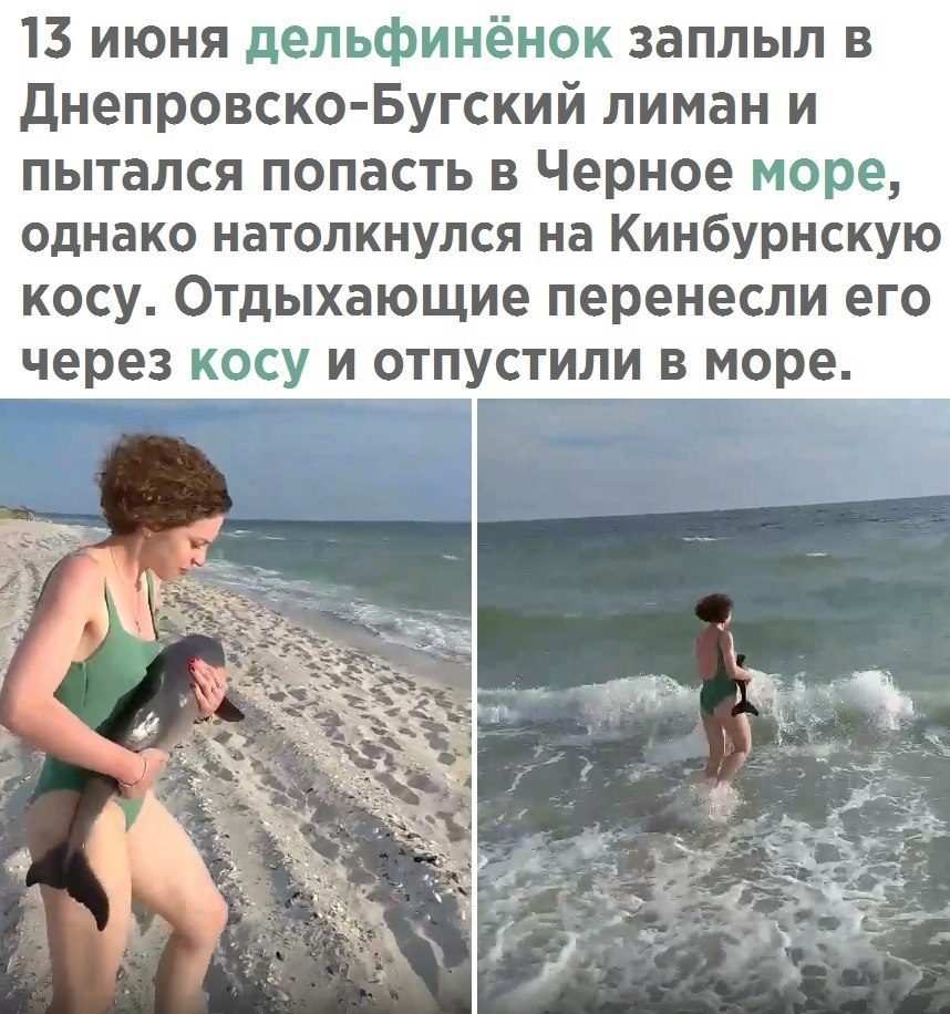    - 21  2021  16:09 - 2