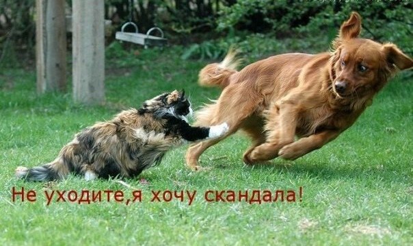    - 27  2021  00:33