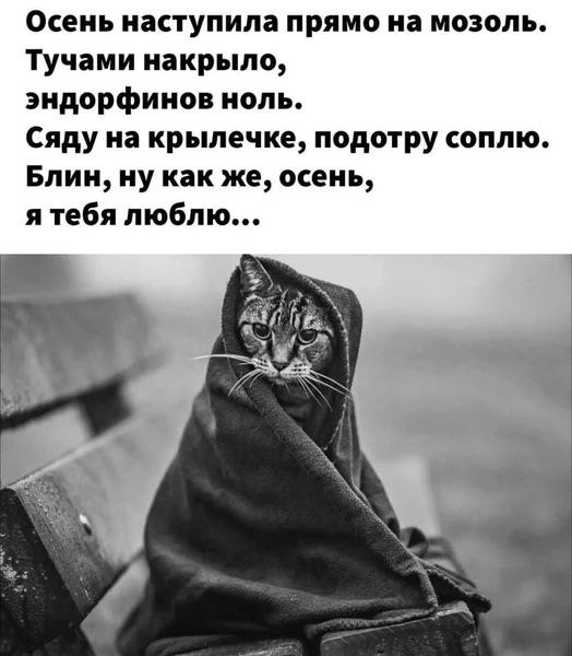   - 9  2021  09:35