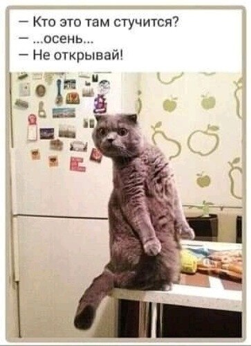  - 26  2021  06:57
