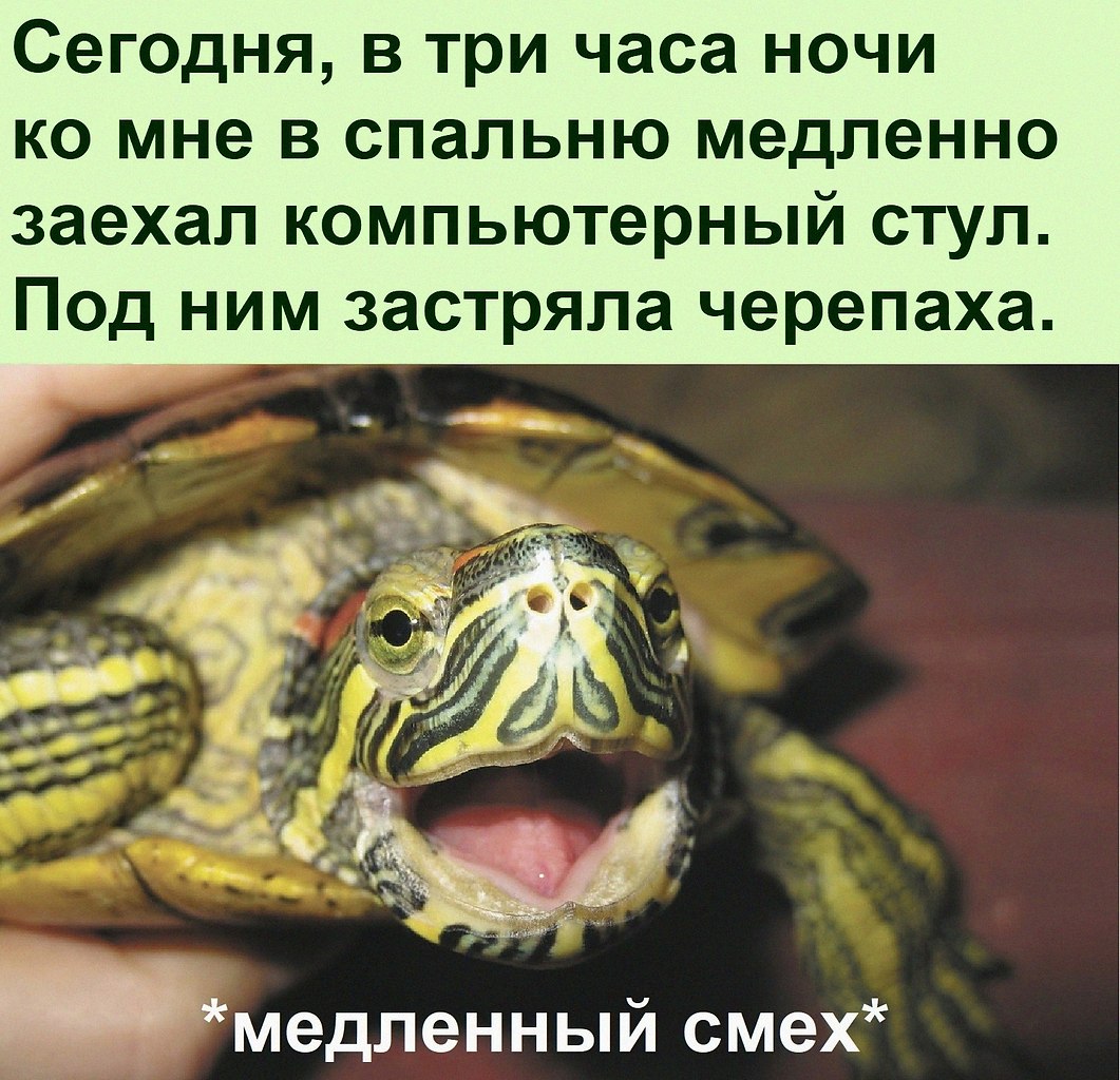   :D - 3  2022  22:34