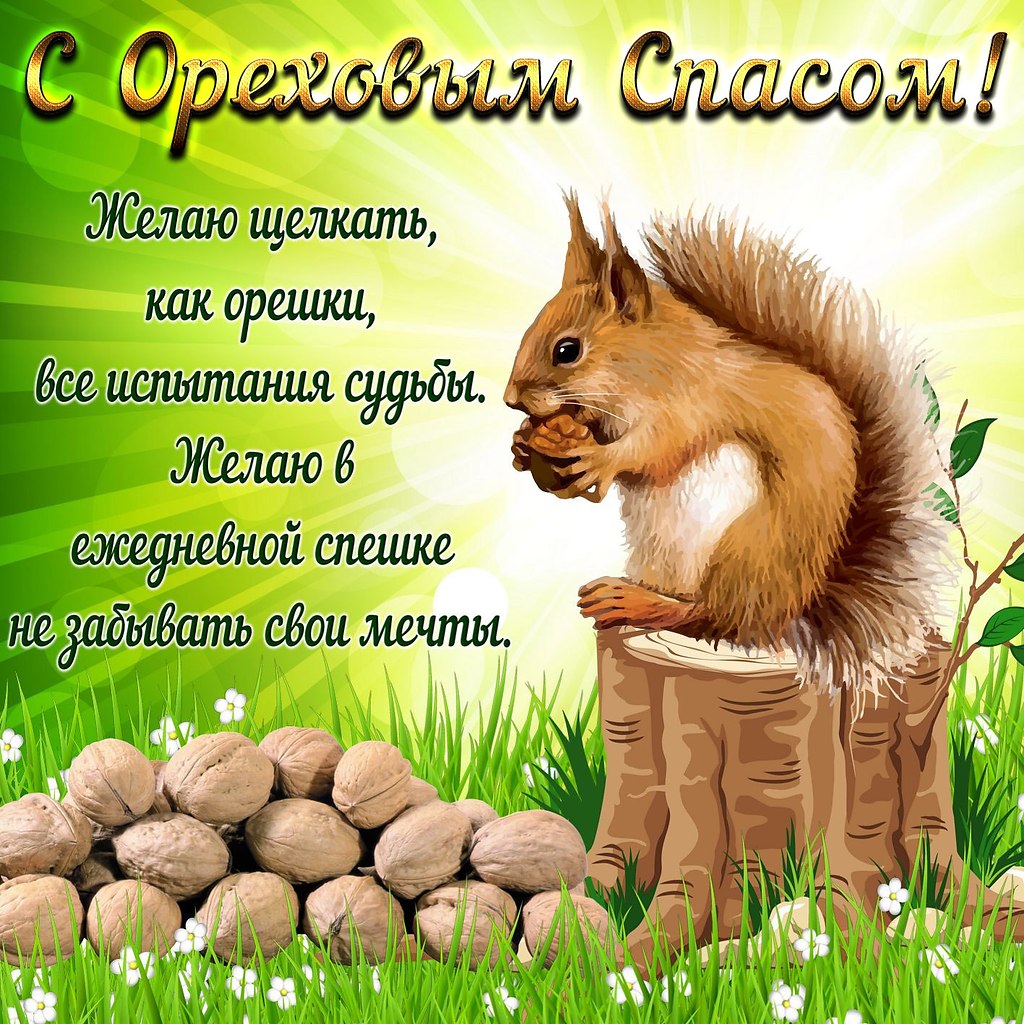   ,    . - 28  2021  22:04 - 8