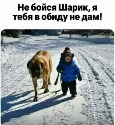   - 24  2022  14:36