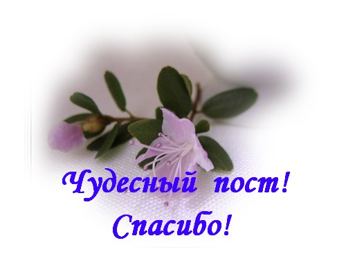   ,    . - 26  2021  18:04