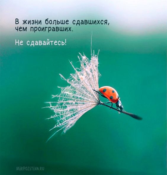 ������ - 3 ���� 2021 � 14:36