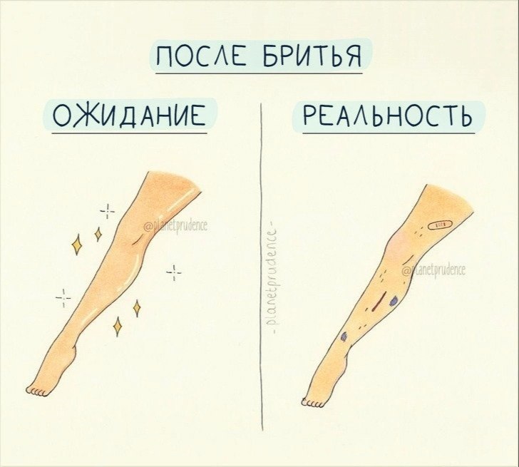6     - 6